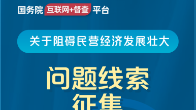 鸡吧操女人国务院“互联网+督查”平台公开征集阻碍民营经济发展壮大问题线索